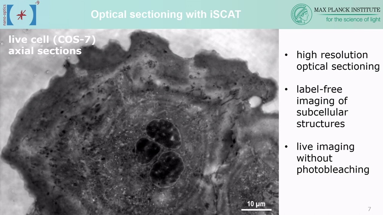 David Albrecht: Nanoscale imaging of live cells with confocal interferometric scattering microscopy