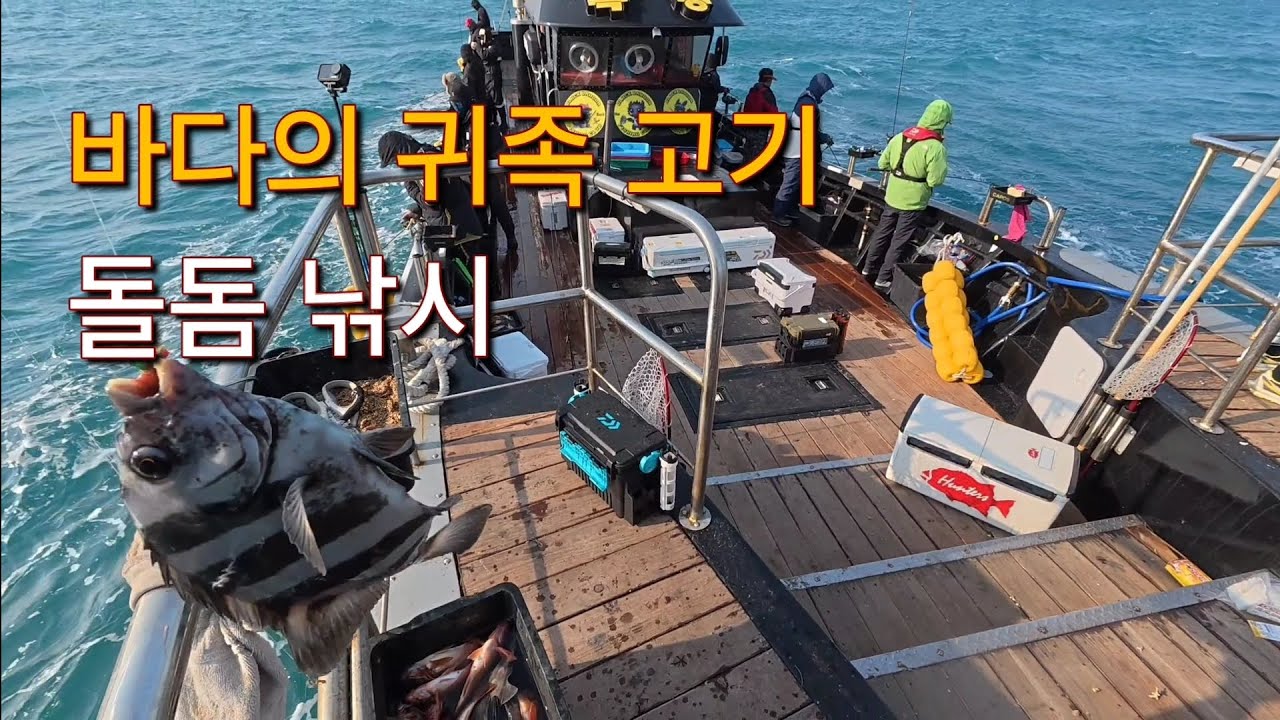돌돔 낚시
