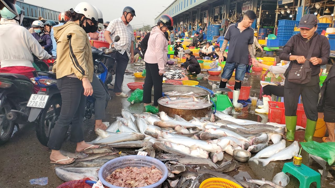 Chợ đầu mối bình điền 23 tháng chap cá chép 10k bịch cá rô đồng 30k tôm càng 80k xổ luôn 