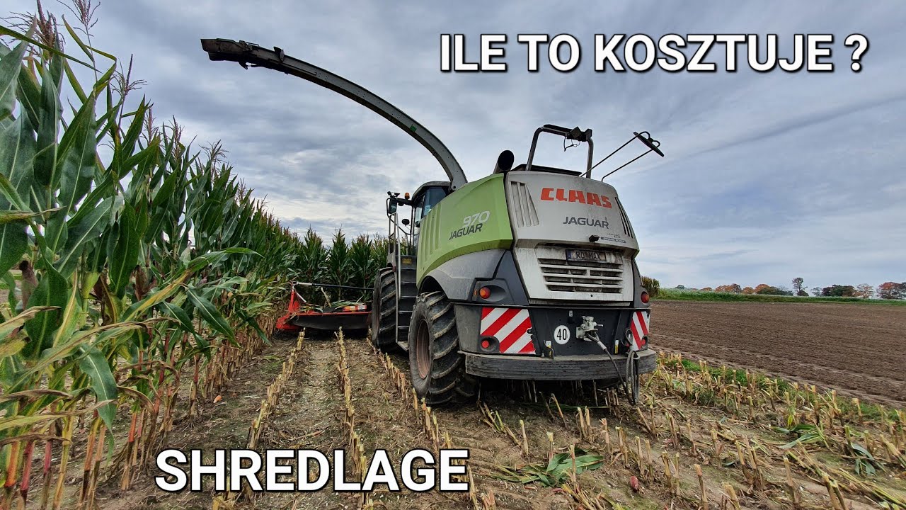 CZY WARTO DOPŁACIĆ ZA DŁUGĄ SIECZKĘ ?  ILE KOSZTUJE I NA CZYM POLEGA SHREDLAGE ?