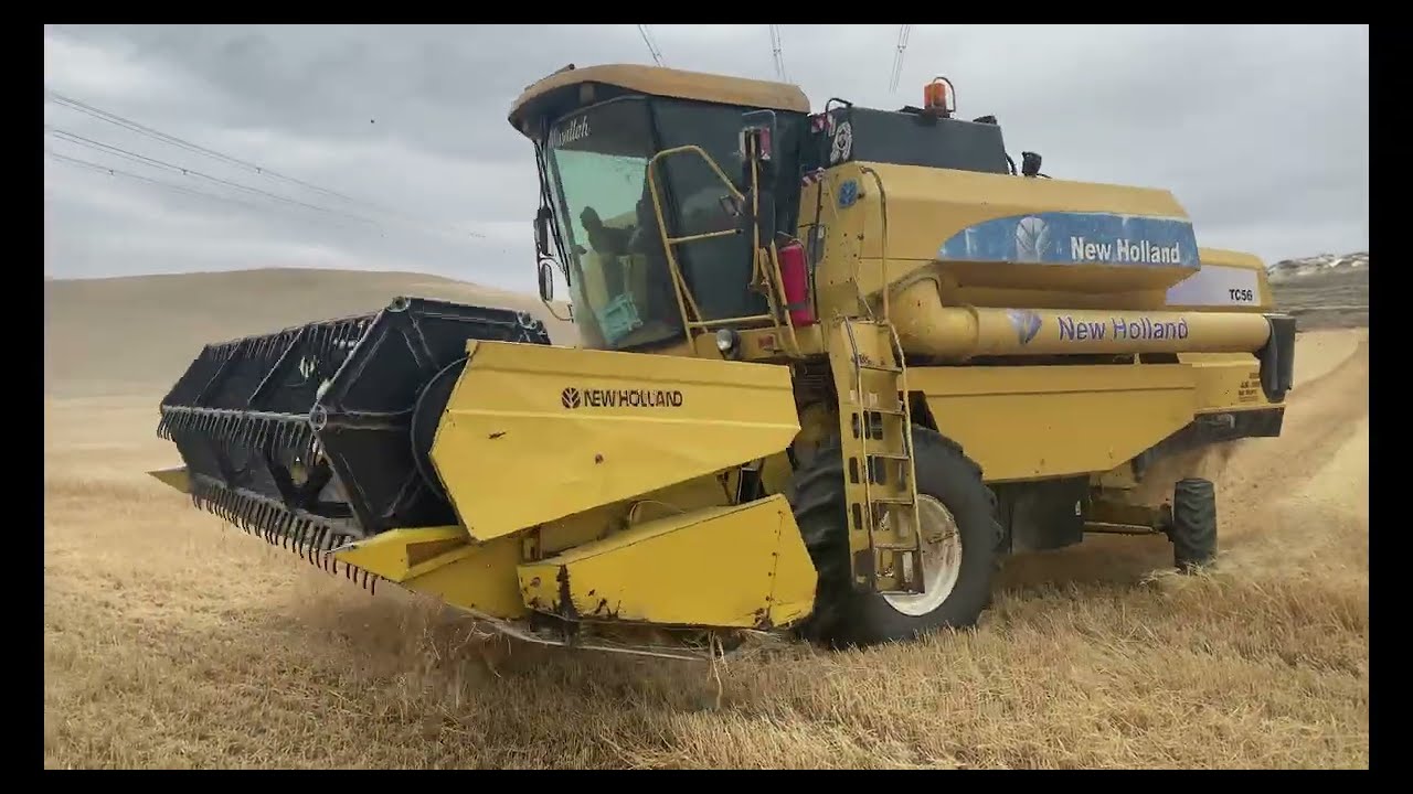 New holland TC56 biçerdöver ile arpa hasatı #newholland #biçerdöver