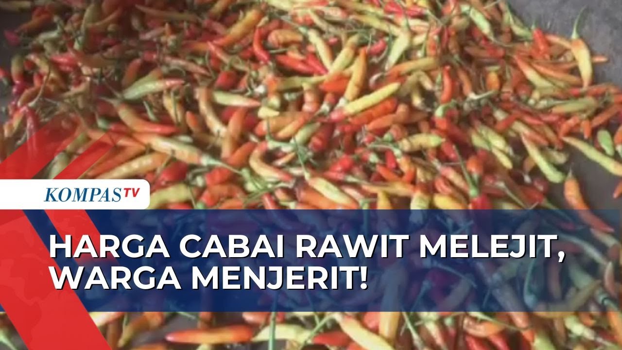 Harga Cabai Meroket Hingga Rp75 Ribu Per Kilogram, Warga Pilih Kurangi Pembelian!