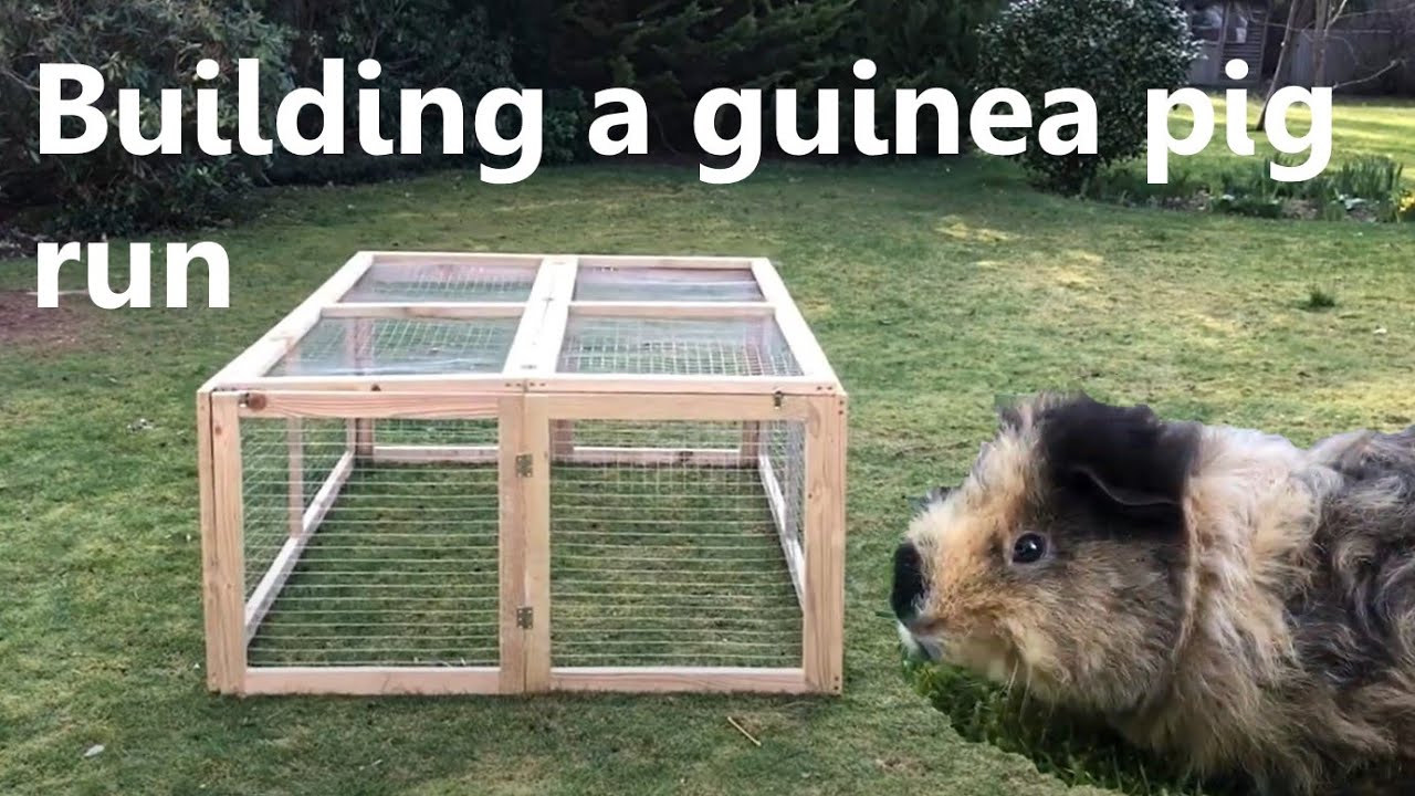 Building a guinea pig run