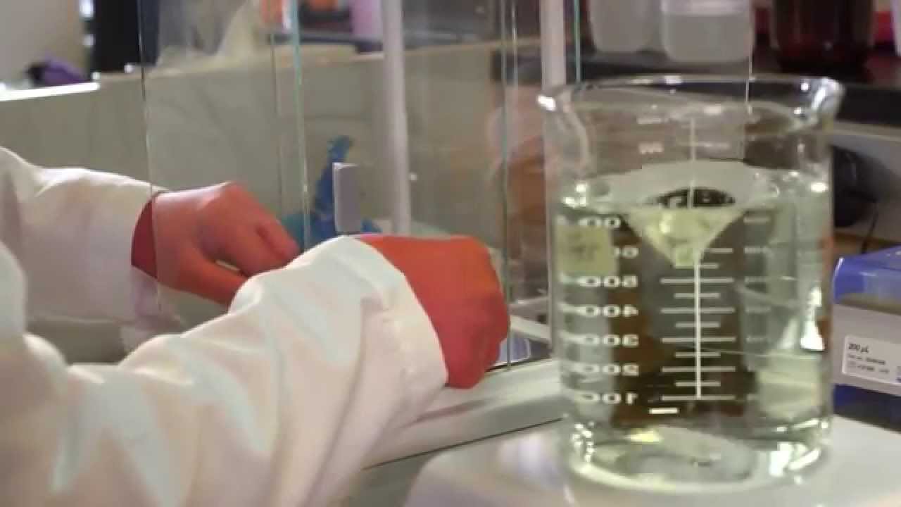 IU startup Anagin works to develop treatment for PTSD