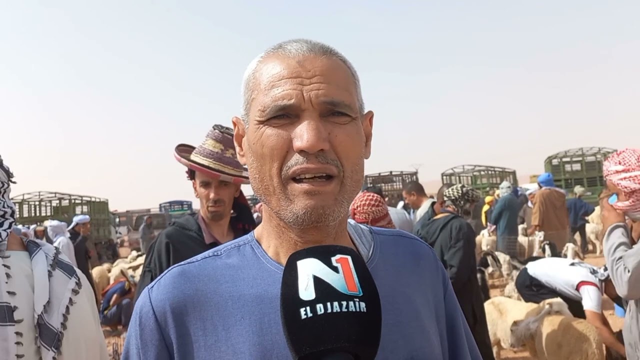 تضارب في الأضاحي بين المواطن و الموال بسوق الأبيض سيدي الشيخ