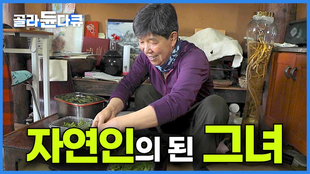 전설적인 여성 산악인 이제는 지리산에서 평범한 자연인으로 살아요┃백두대간 정복한 전설, 지리산에 터를 잡은 산꾼┃남난희의 백두대간에서 잘 먹고 잘 사는 법┃한국기행┃#골라듄다큐