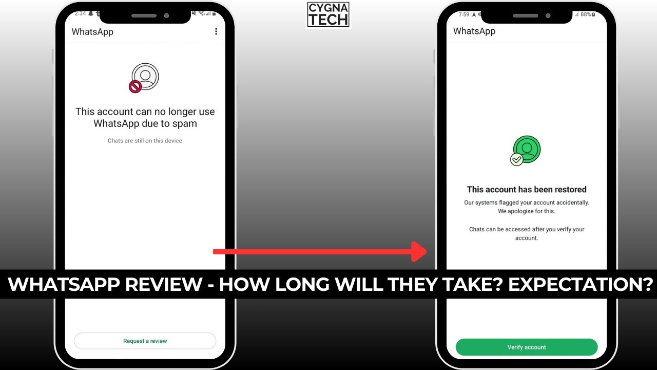 ⏳ Сколько времени требуется WhatsApp для проверки заблокированного аккаунта? (Лучший способ разбл...