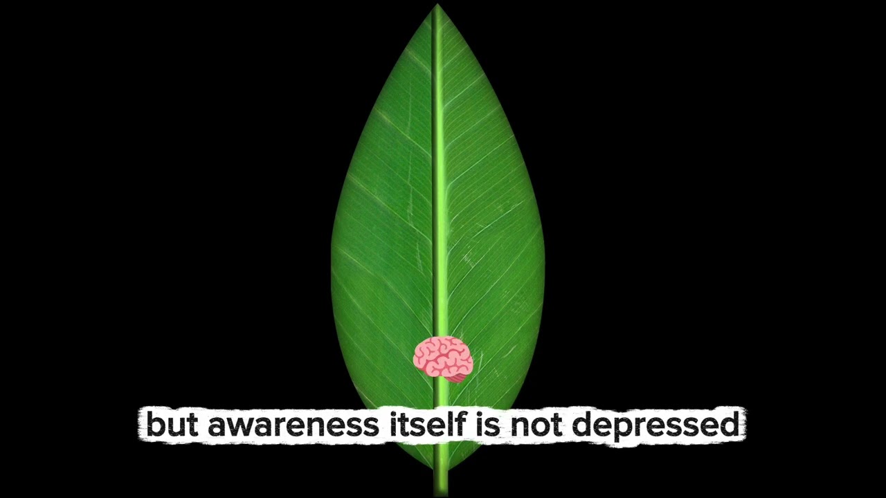  Depression, Emptiness & the Search for Meaning #motivation #lifephylosophy #philosopher 