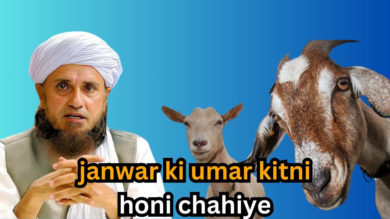 Qurbani ke janwar ki umar kitni honi chahiye