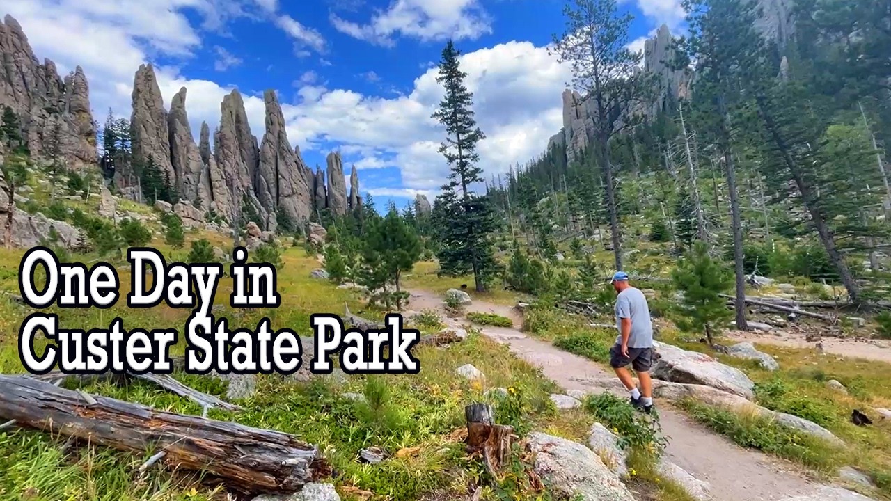 One Day in Custer State Park  #wildlife #southdakota