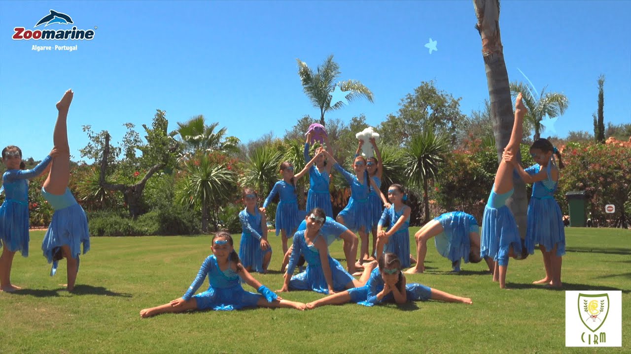 🐬 Atchim - A Magia do Zoomarine 🦋 ganhou uma coreografia cheia de cor e magia!