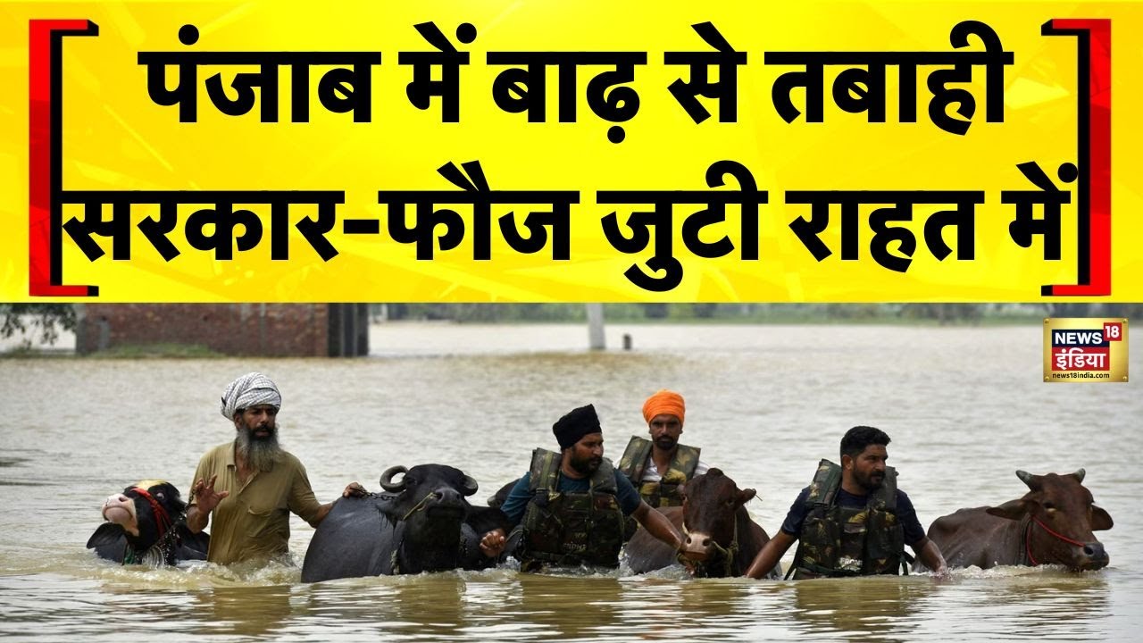 Flood in Punjab: Amritsar में बाढ़ से लोग बेहाल | Flood News Today | Weather Update Today