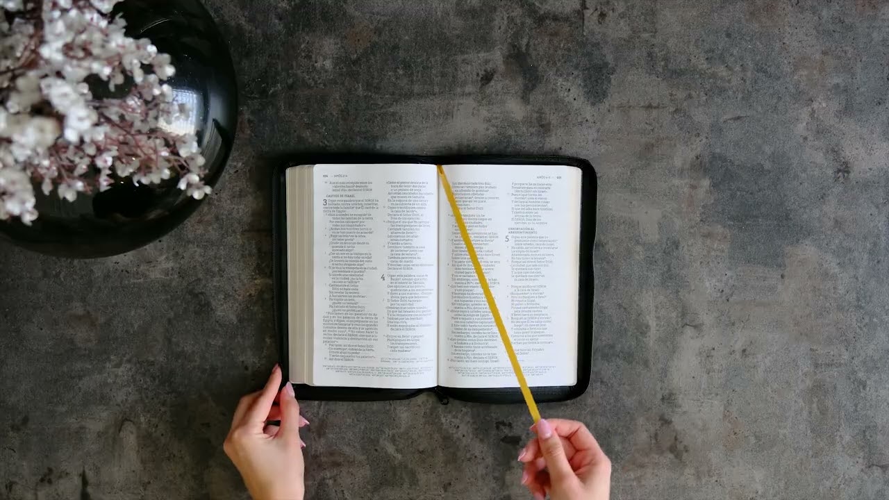 Santa Biblia NBLA, Ultrafina, Letra grande, Leathersoft&copy; Negra con cierre.
