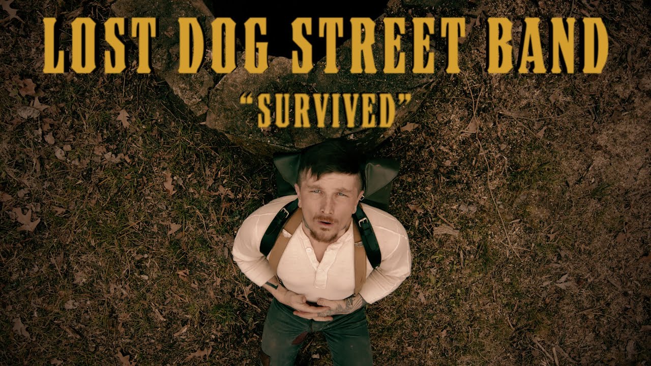 Lost Dog Street Band - 
