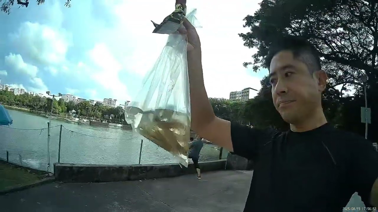 15 Aug - Fishing at Pasir Ris pro pond.