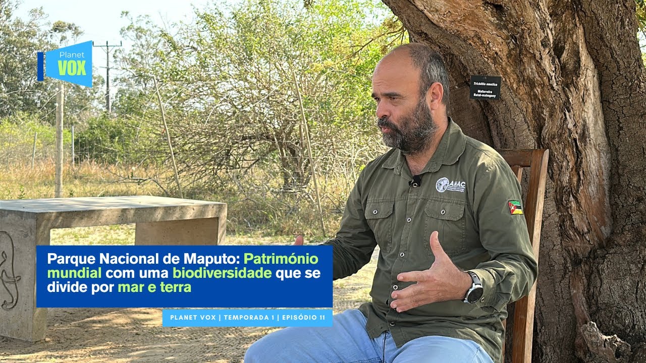 Parque Nacional de Maputo: Um destino perfeito para se conectar com a natureza