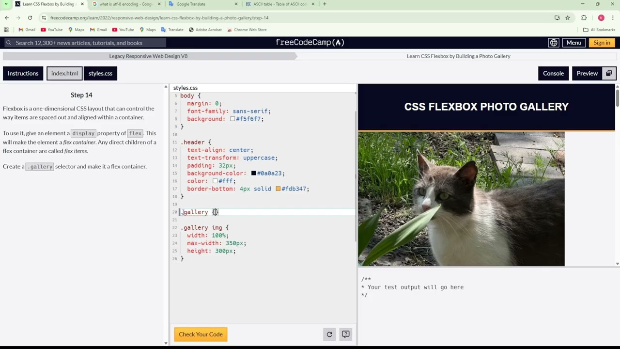 الحلقة 2  CSS Flexbox Building a Photo Gallery   freeCodeCamp  تبسيط دروس الموقع المجاني للمبتدئين