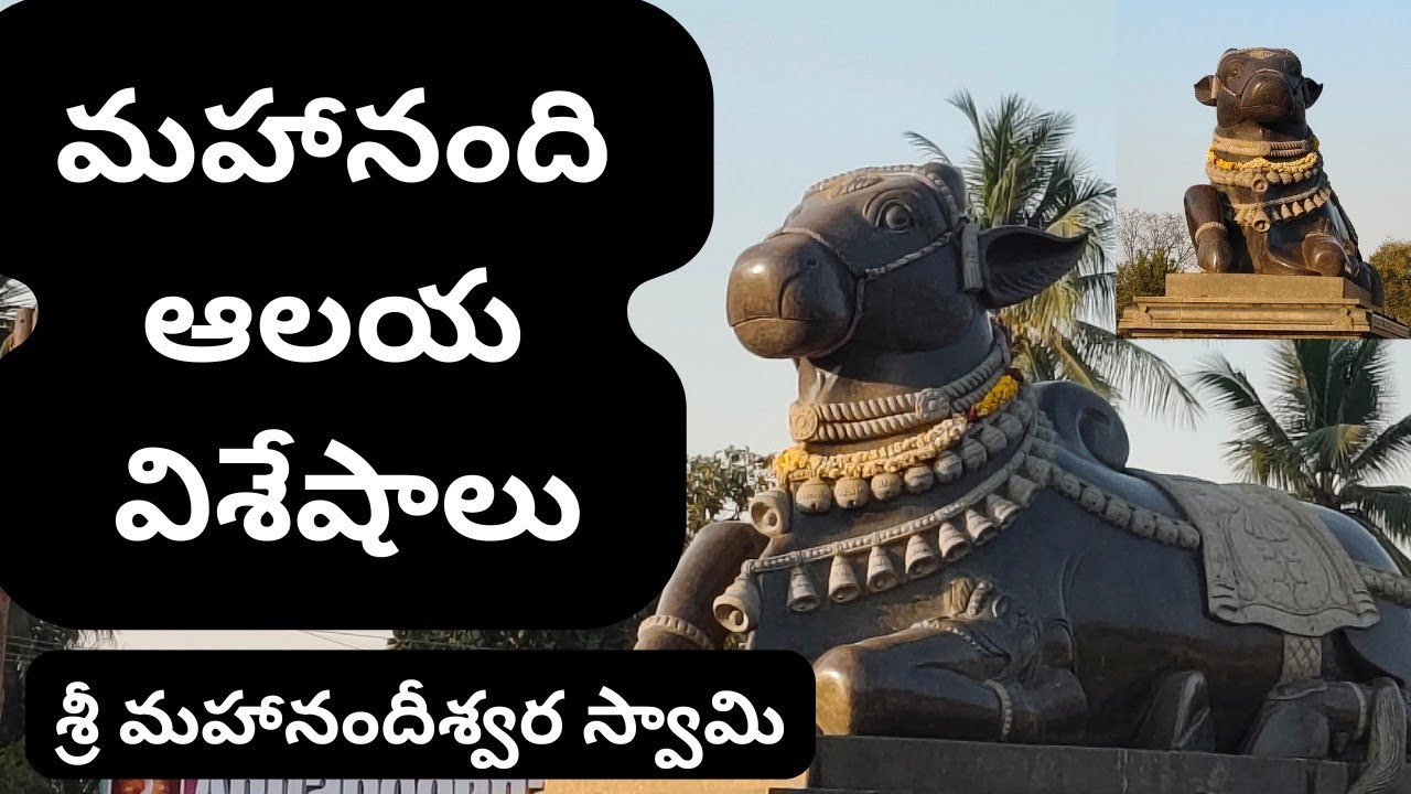 మహా నందేశ్వర ఆలయం విశేషాలు | నవనంది క్షేత్రాలలో ప్రధాన ఆలయం #rajavariguidance #yt #videos #tourism