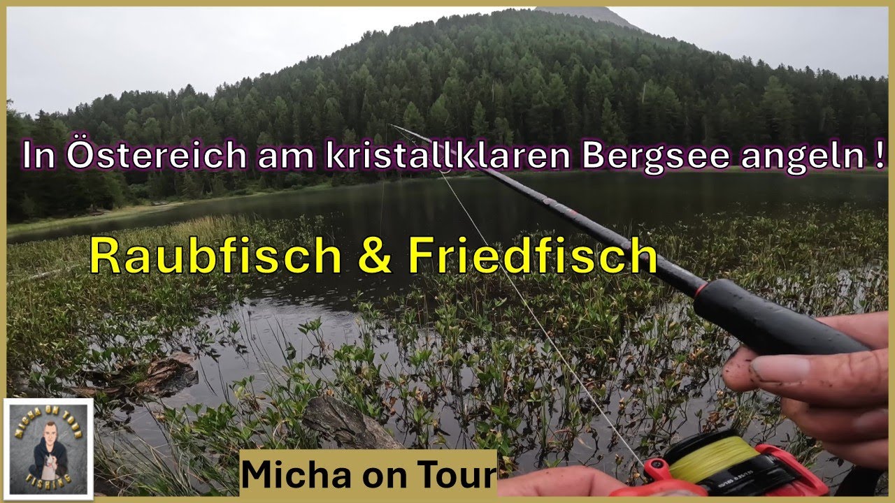 Raubfisch & Friedfisch angeln in Östereich ! / Bergsee fischen im kristallklarem Wasser !