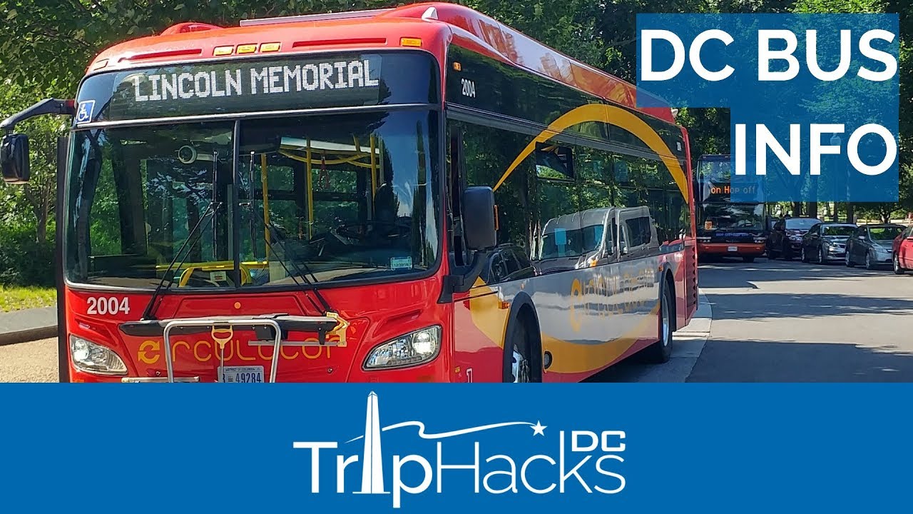 Экскурсии Hop On Hop Off против общественных автобусов в Вашингтоне (округ Колумбия)