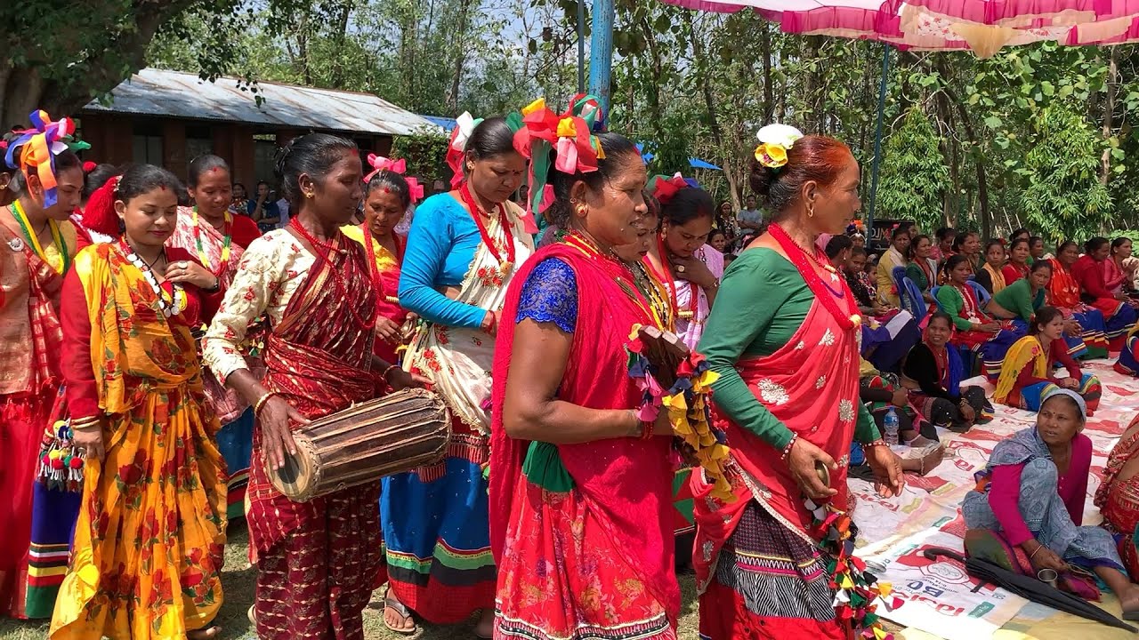 Tharu Hurdungwa Nach ‘Tharu Sankritik Pradarsani’ in Harpal 2082/02/10 in Bhuwaneshori School