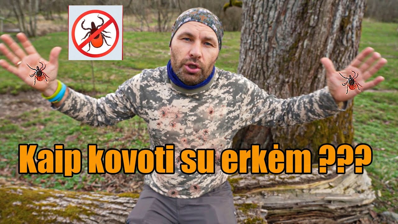 Ar iš tikro erkės tokios baisios?