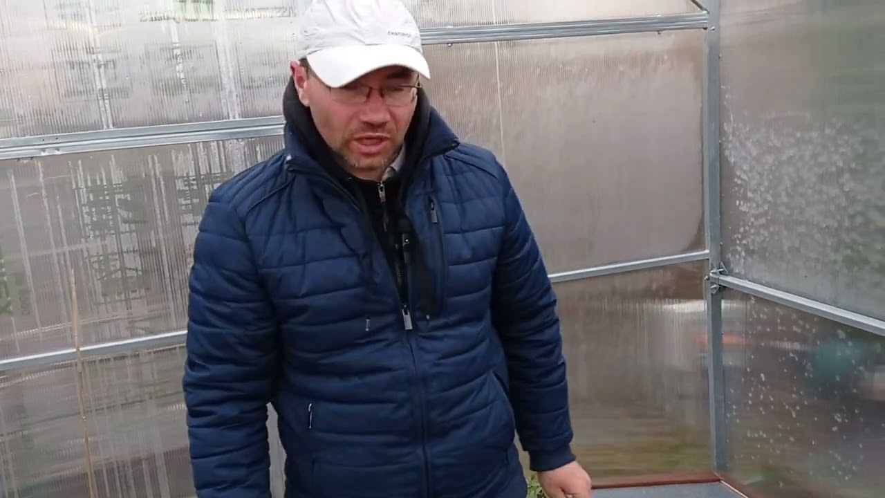 Wiosenne ukorzenianie borówki amerykańskiej.