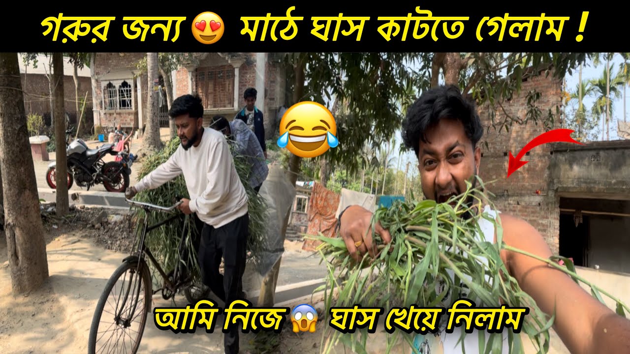 গরুর জন্য 😍 মাঠে ঘাস কাটতে গেলাম || আমি নিজে 😱 ঘাস খেয়ে নিলাম || sandip diarys || 