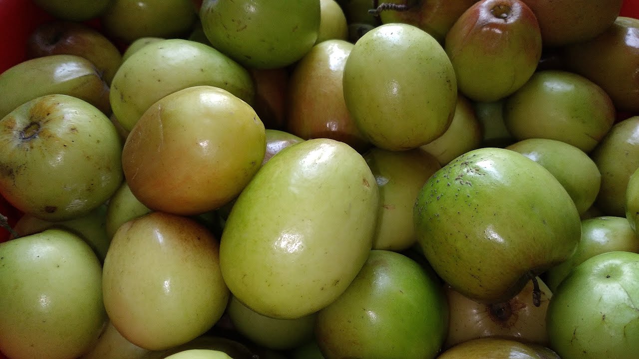 02.03.2026 সকাল @BarisalerApa1012 Is On Live🔴