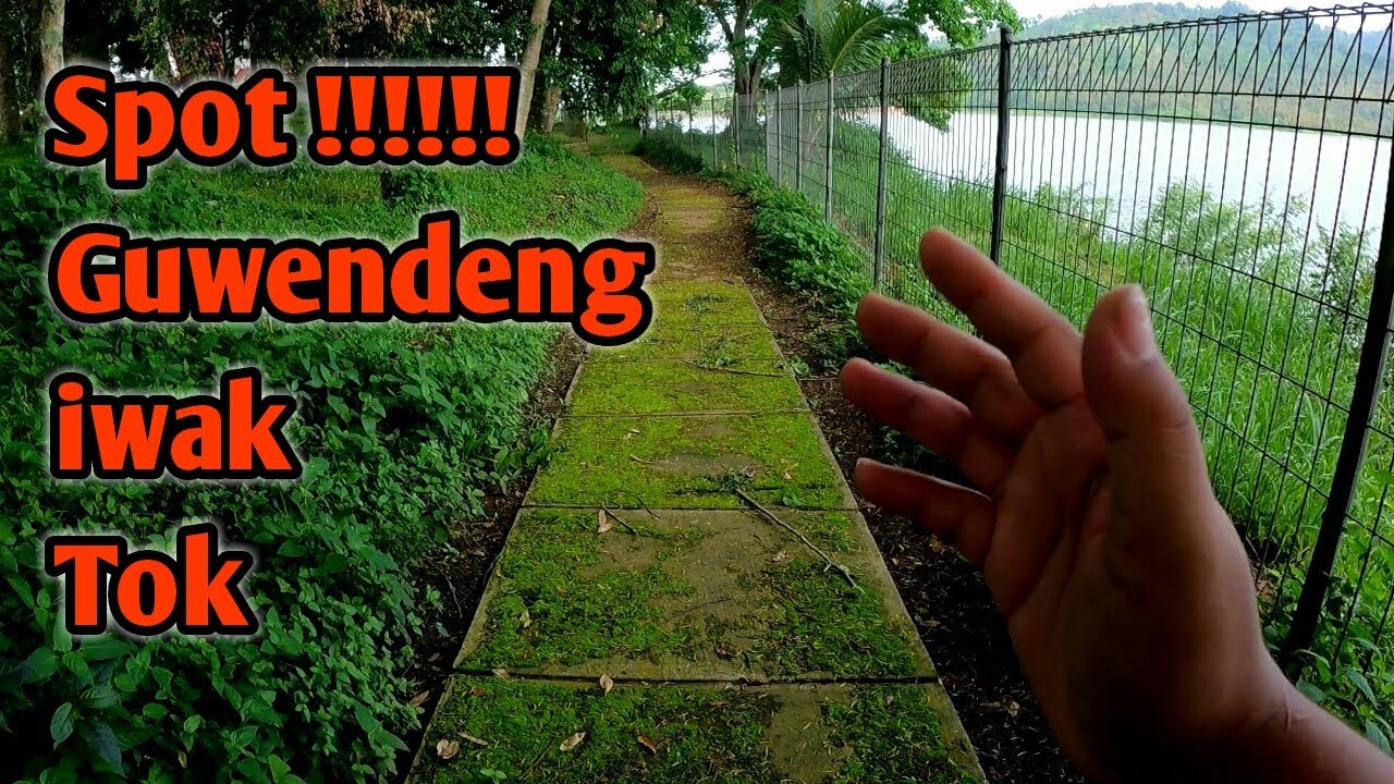ON LAGI !!! PENCARIAN BABON NILA BERLANJUT || mancing ikan nila diwaduk ngantang