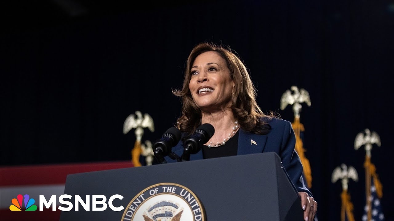 Vice President Harris' campaign cash: How her team stacked $200M in donations