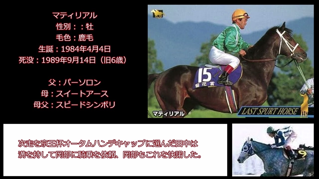 マイナー名馬の肖像　マティリアル