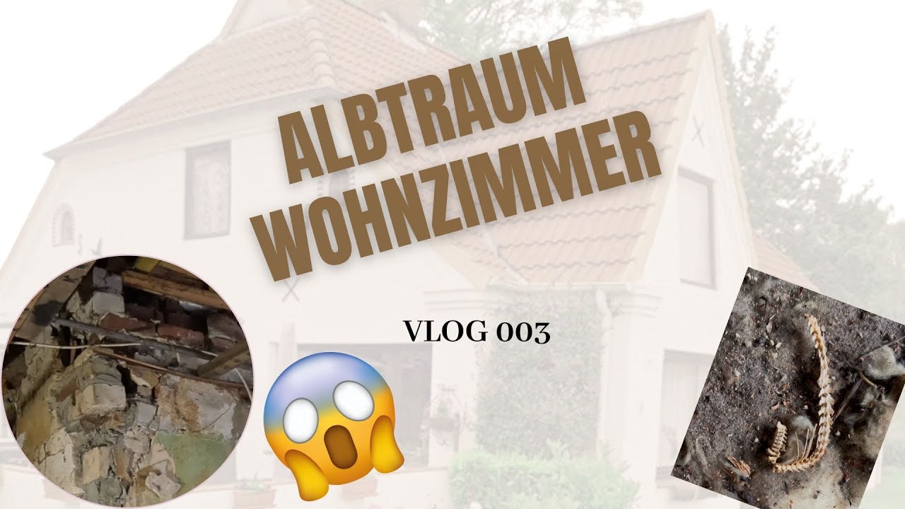 Unser Haus bricht zusammen! 😱 Mauerfall & morsche Balken