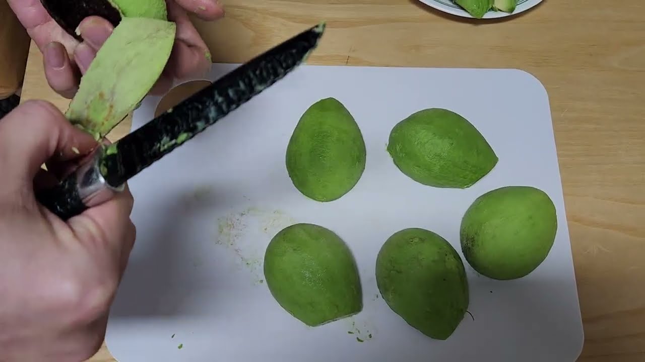 @왔어요 왔어요 아보카도가 왔어요,잘 익었어요,잡솨봐요