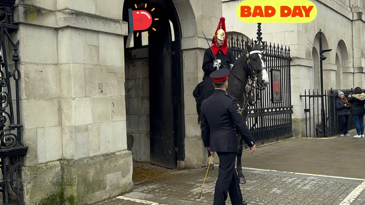 🔥 HORSE PANIC! Bad Day for King’s Guard Horse 🤗Quit Duty