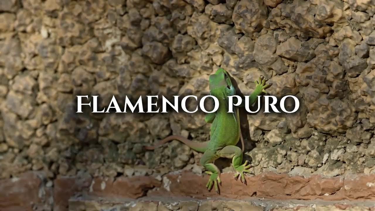 Duende Sensual Mix | Flamenco Music | Insp. Vicente Amigo, Buika, Pitingo