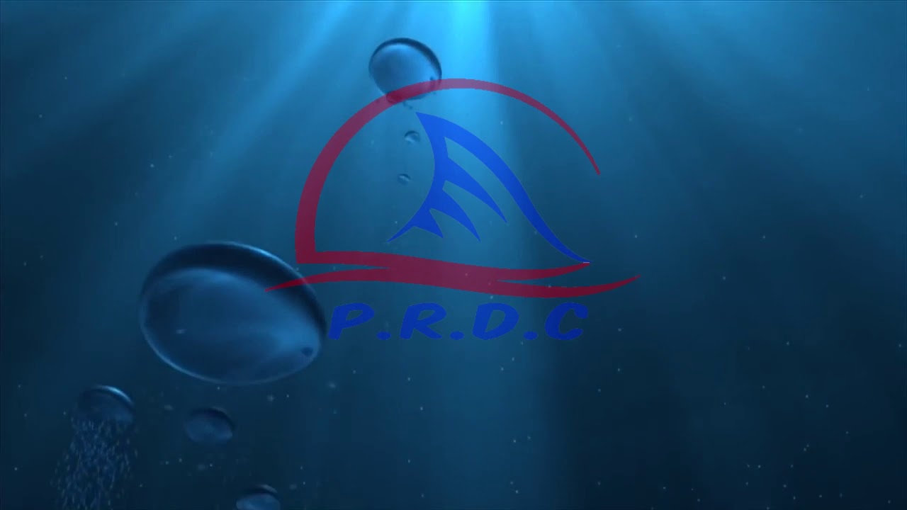 Historias Narradas de Buceo El Submarino