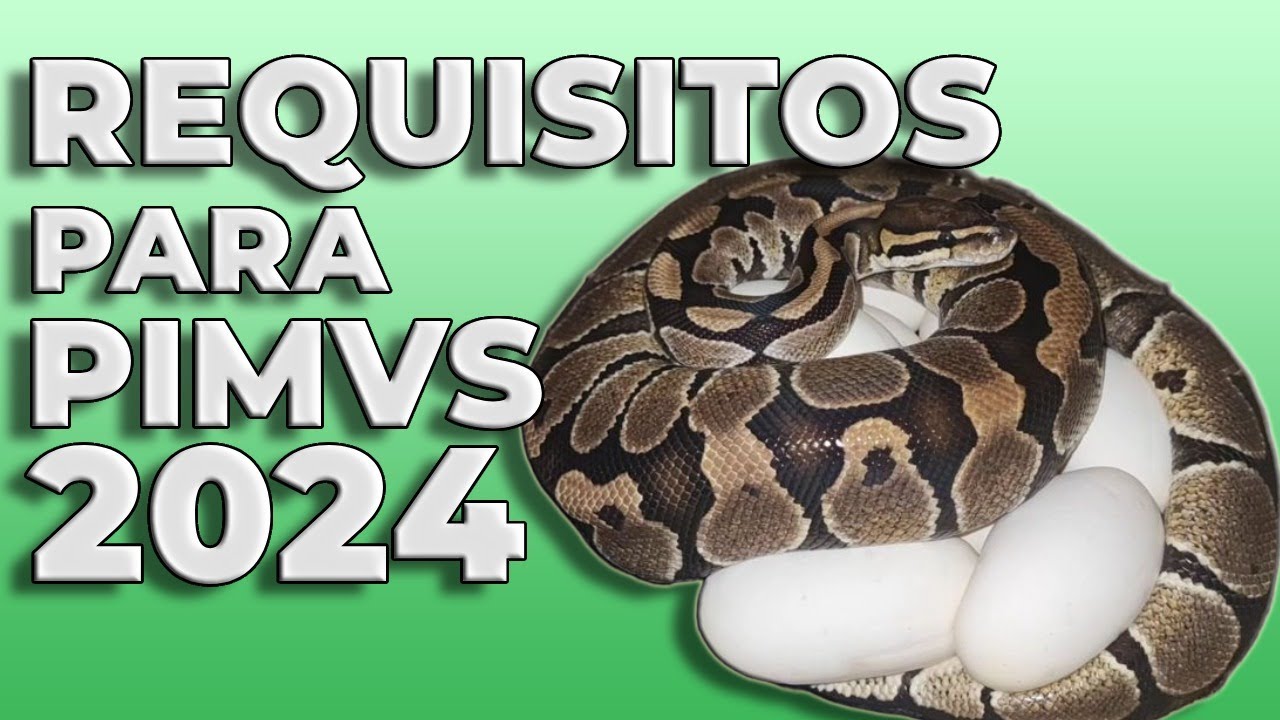 Esto es lo que tienes que saber para tramitar tu PIMVS | AFSAND R.