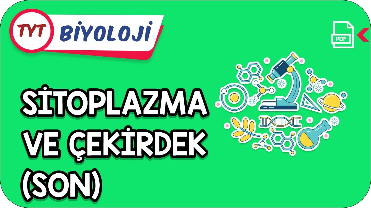 Sitoplazma ve Çekirdek- Son, Bilimsel Çalışma Basamakları | Kamp2021     #YazKampı