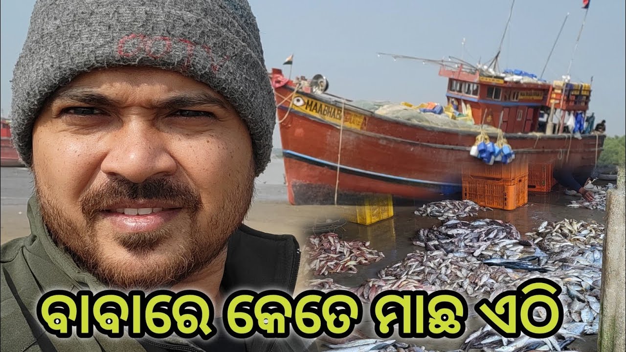 ଆସନ୍ତୁ ଦେଖିବା କେତେ variety ର ମାଛ🤔 ||  କେତେ ବଡ ବଡ ମାଛ ଏଠି 😋||ଖାଲି ତ ମାଛ ଆଉ😇
