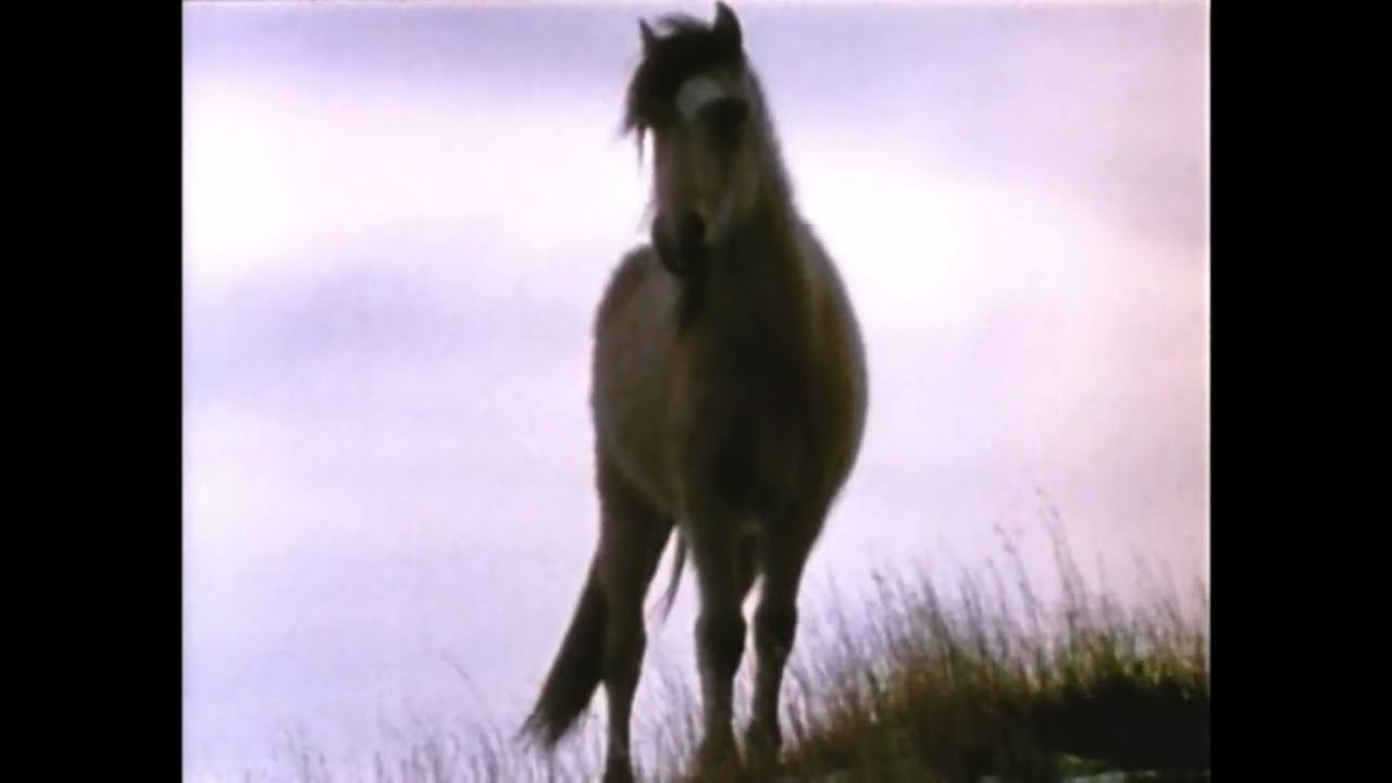 Country Peddler - Down Dusty Roads (Official Music Video)