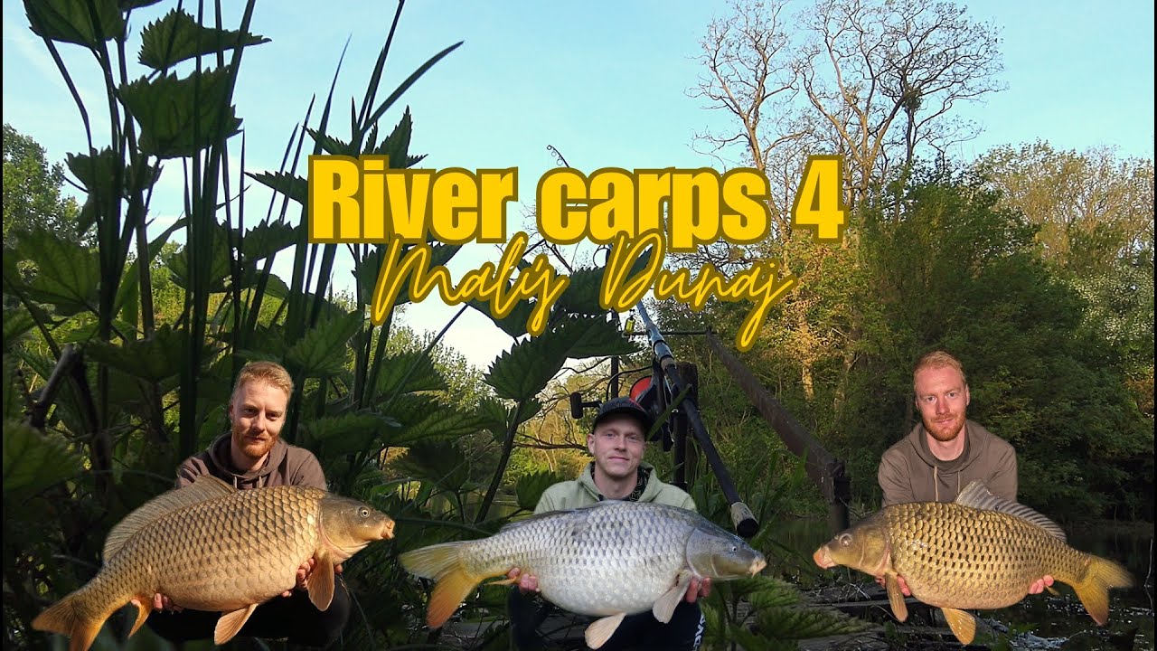 River carps 4 - Malý Dunaj | Jarný lov kapra na rieke (2024)