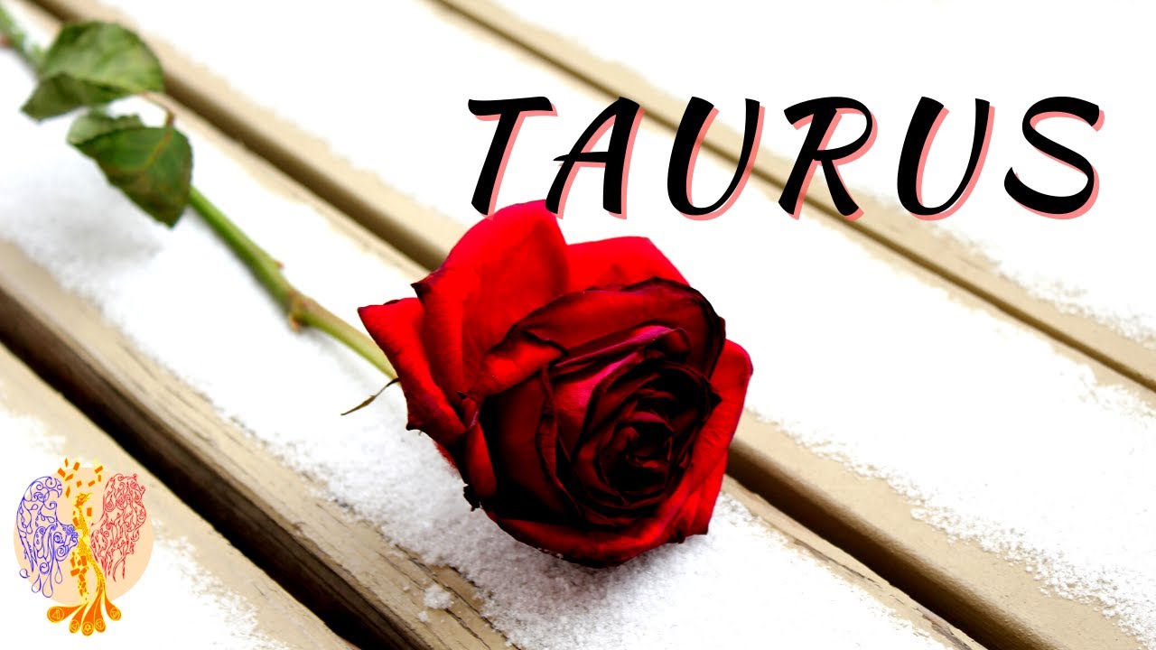 TAURUS ♉ This will be unexpected 💞 - November Love Read