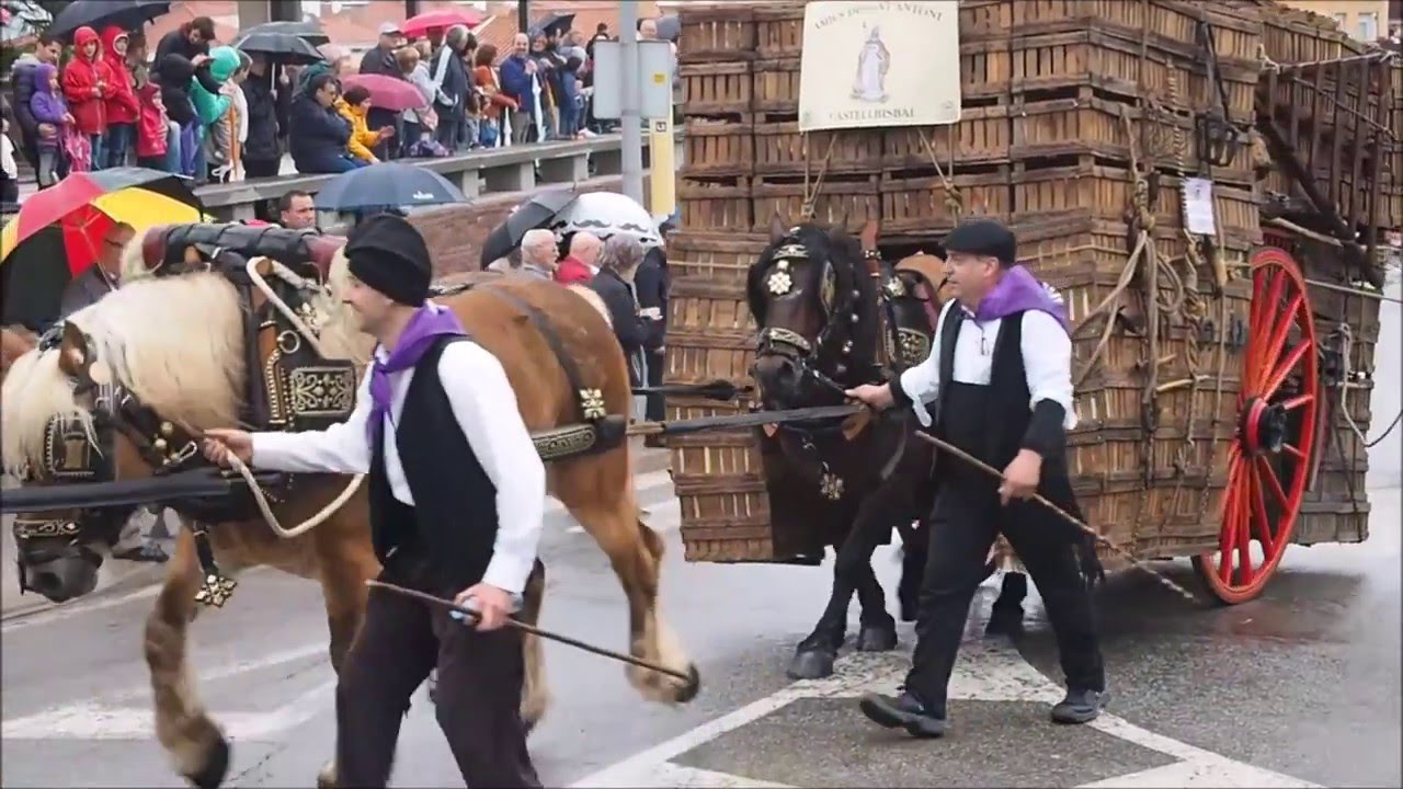 XIX Trobada Nacional Tres Tombs Castellbisbal - 2ª part.