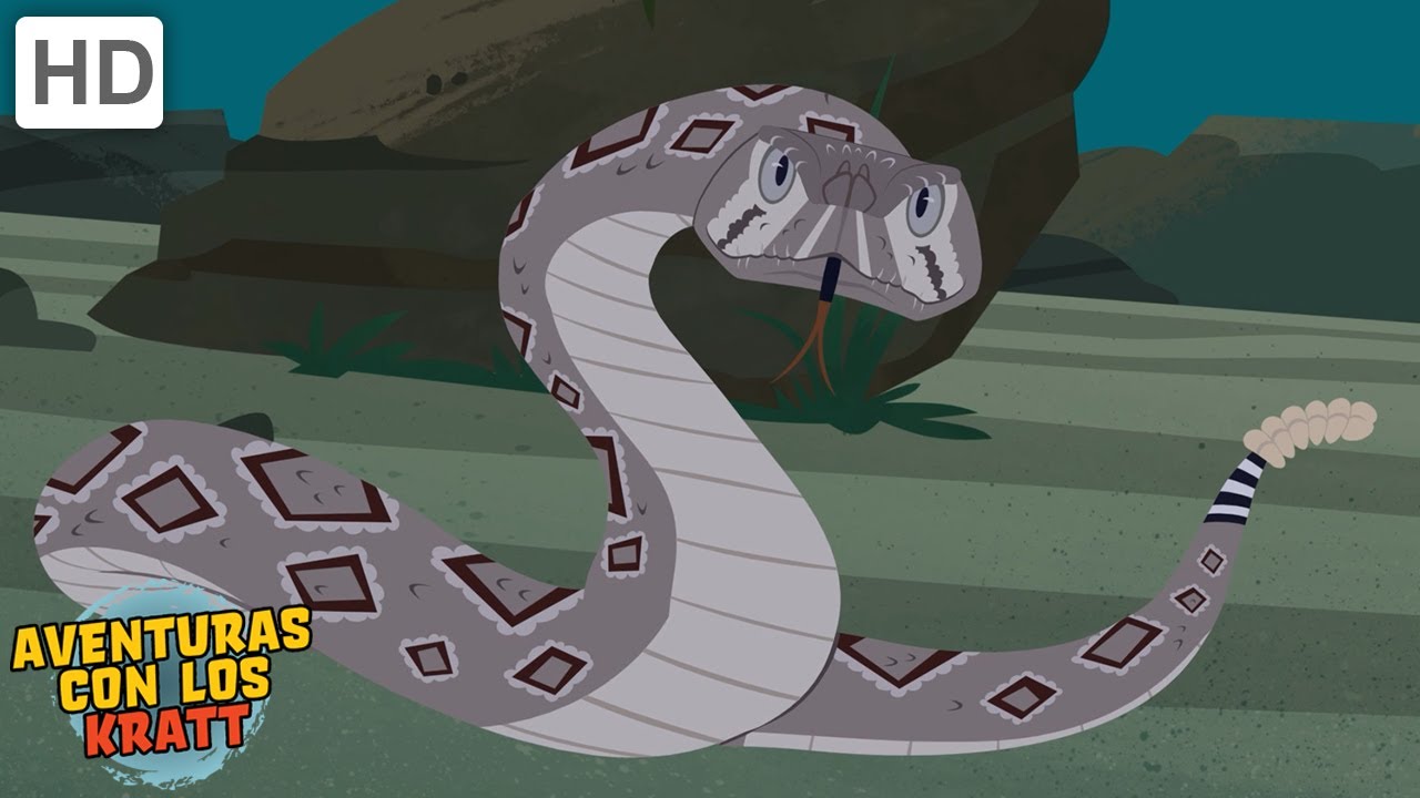 Reptiles | Cocodrilos, lagartos, serpientes + más! [episodios completos] Aventuras con los Kratt