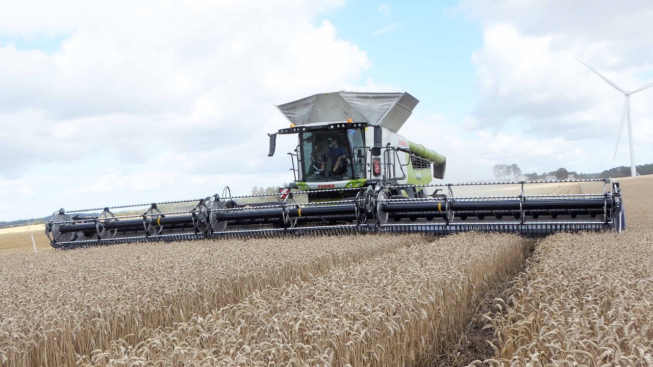 Claas Lexion 8900 with 50 ft. Wide MacDon FD250 Header Harvesting Wheat | Big Harvest 2025