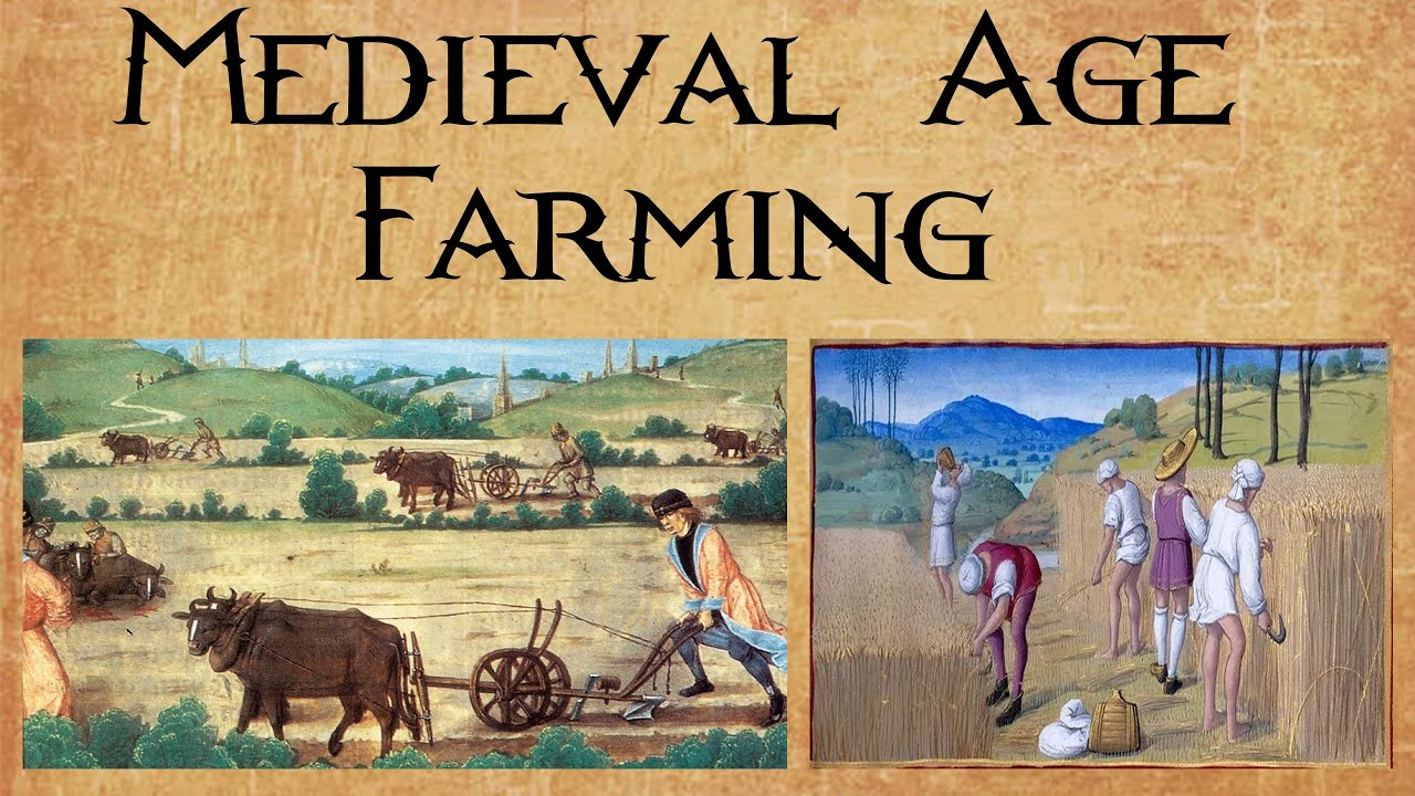 Medieval Farming and the Farming Year: How Did It Work? Agriculture in the Middle Ages