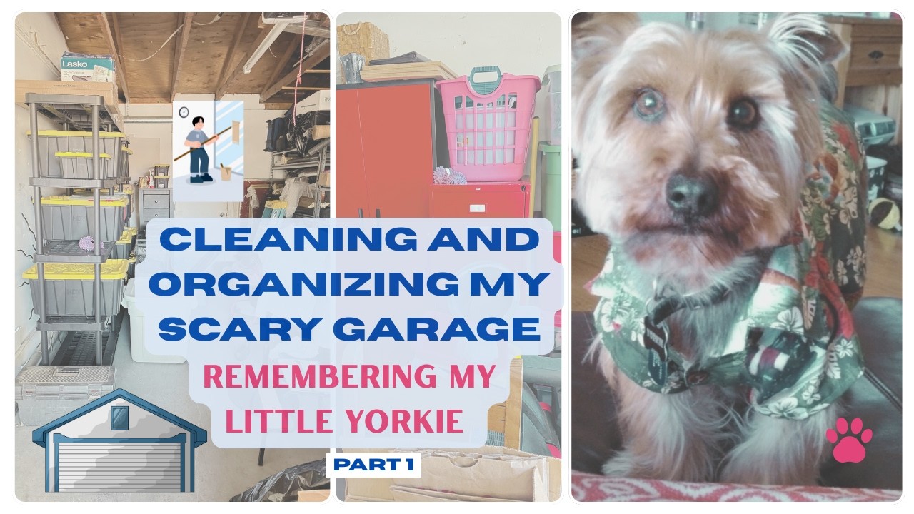 Garage Organization  Part 1