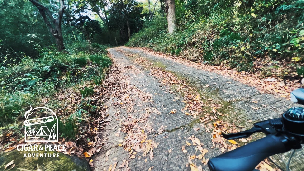 折りたたみ自転車で山に登ろう【輪行 / 筑波山】