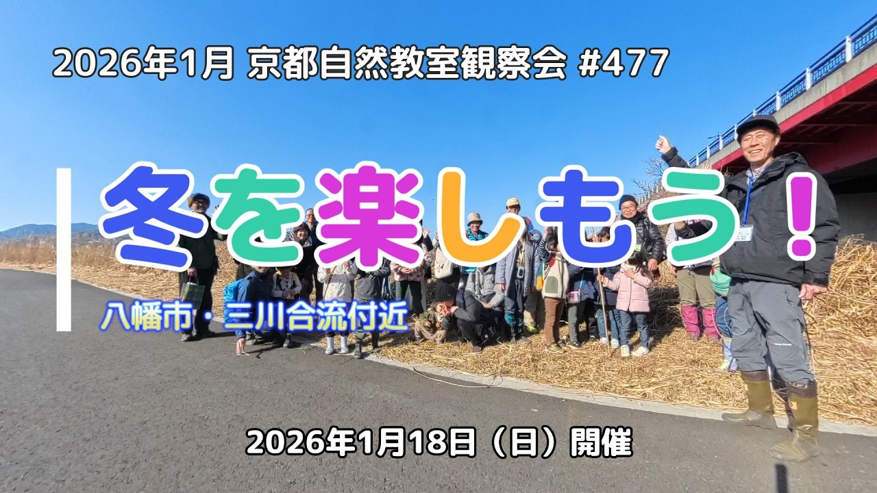【観察会】2026年1月観察会「冬を楽しもう！」（八幡市・三川合流付近）